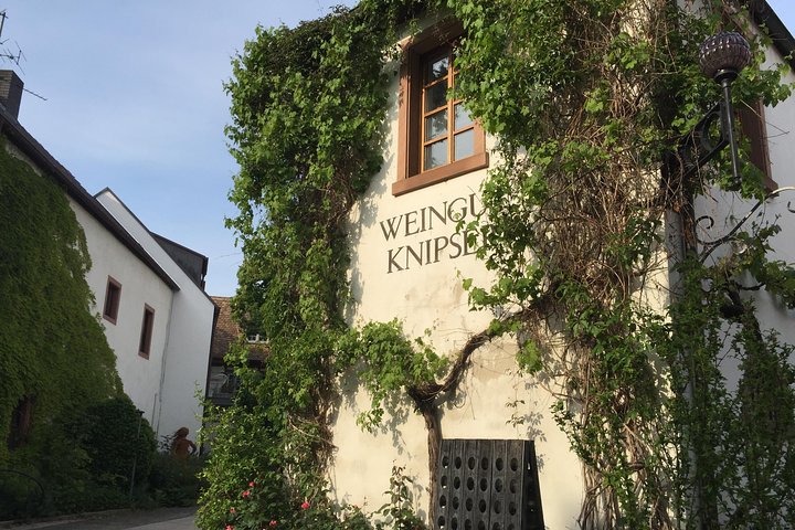 Descubra os melhores vinhos vermelhos e risling seco da Alemanha no Pfalz