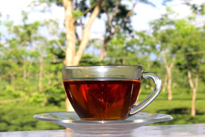 Dibrugarh Tea Tour, Singpho landsby med lunsj, Digboi olje museum