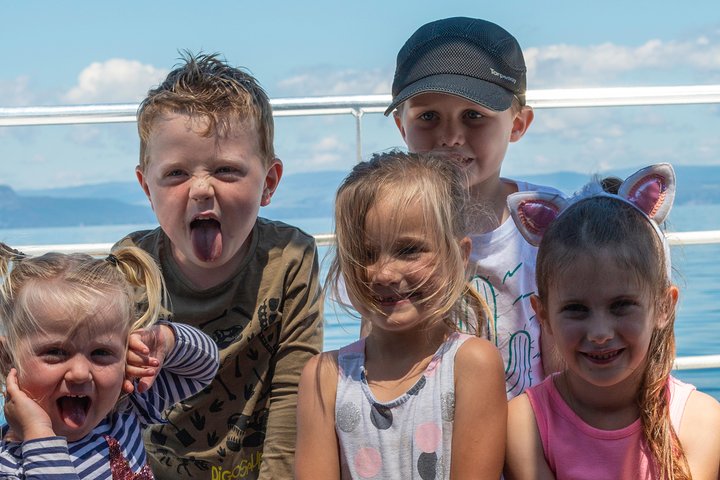 Diariamente Scenic Maori Rock Carving Cruise Taupo