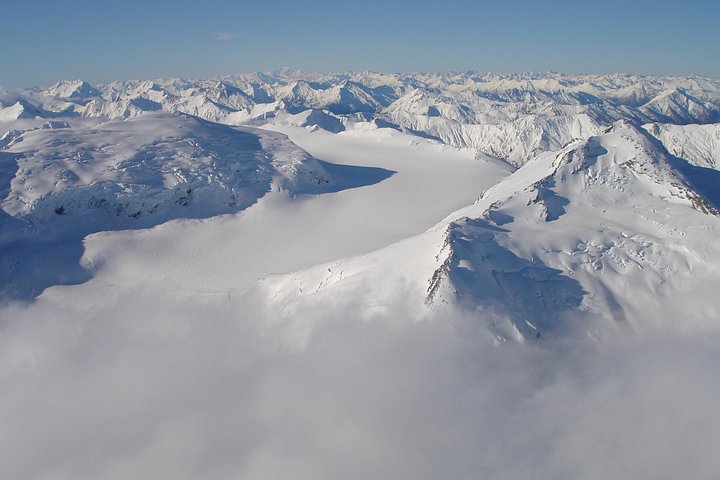 Vuelo y crucero del glaciar Milford Sound desde Wanaka