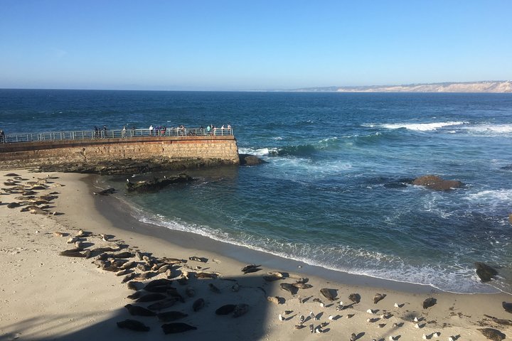 Tour en bicicleta eléctrica de ensueño por La Jolla y la playa del Pacífico