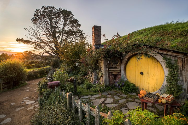 Visita guiada a las cuevas de Hobbiton y Waitomo desde Auckland con almuerzo