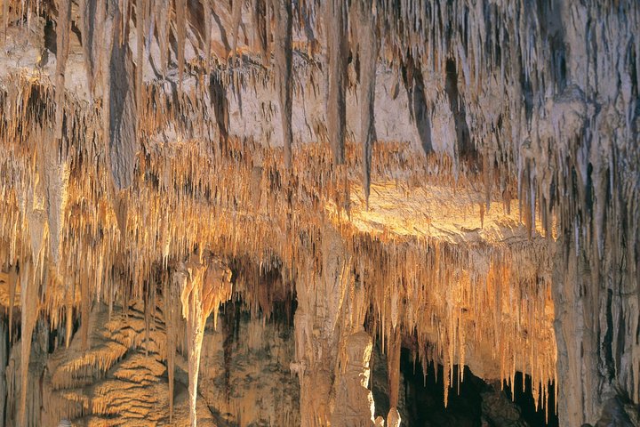 Margaret River, Caves, Wine og Cape Leeuwin fyrturné fra Perth