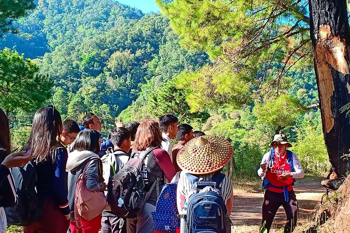 Olá, quem gosta de fazer trek fantástica com o guia mais experiente em Kalaw.