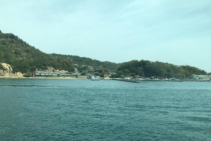 Guidad tur till Naoshima Art Island med privat bil