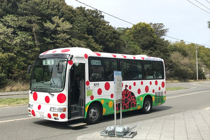 Guidad tur till Naoshima Art Island med privat bil
