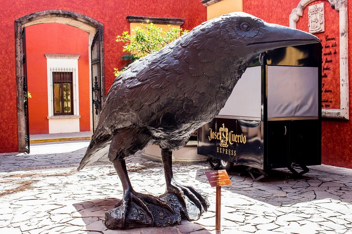 Expérience d'une journée à la tequila José Cuervo au départ de Guadalajara