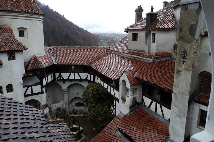 Um dia de viagem Bear Sanctuary, Castelo Dracula, Rasnov Fortress from Brasov