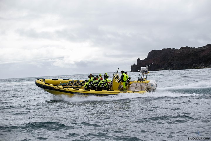 1-timmars liten grupp sightseeingtur i Vestmannaeyjar