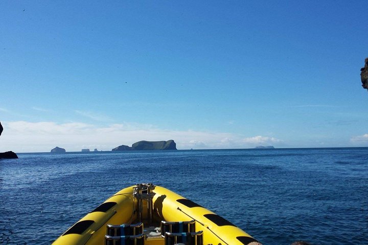 1-timmars liten grupp sightseeingtur i Vestmannaeyjar