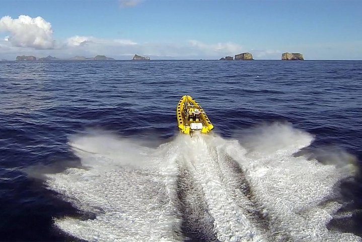Totimers rundtur i Vestmannaeyjar med RIB-båt