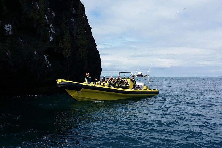Totimers rundtur i Vestmannaeyjar med RIB-båt