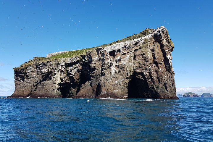Totimers rundtur i Vestmannaeyjar med RIB-båt
