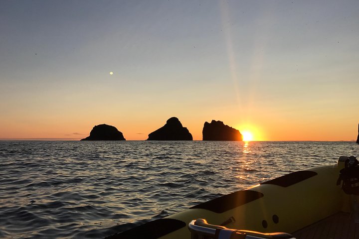 Totimers rundtur i Vestmannaeyjar med RIB-båt