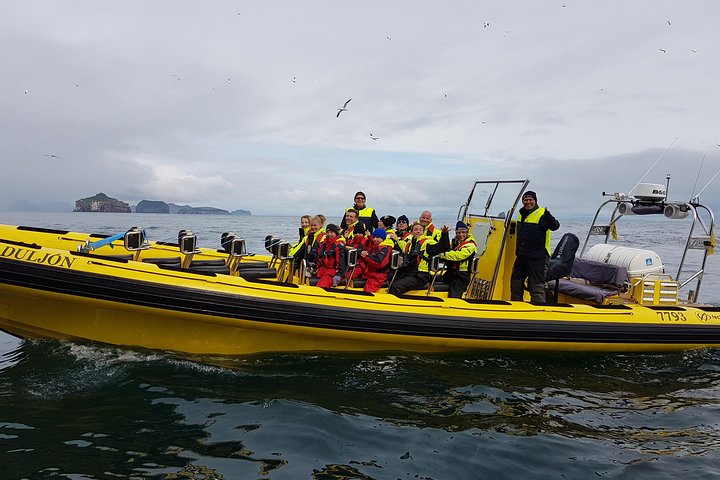 Totimers rundtur i Vestmannaeyjar med RIB-båt