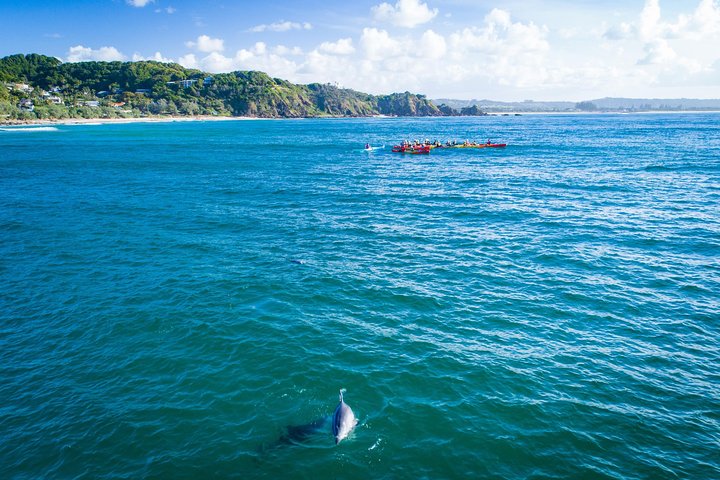 Hoteller i nærheden af Byron Bay Sea Kayak Tour