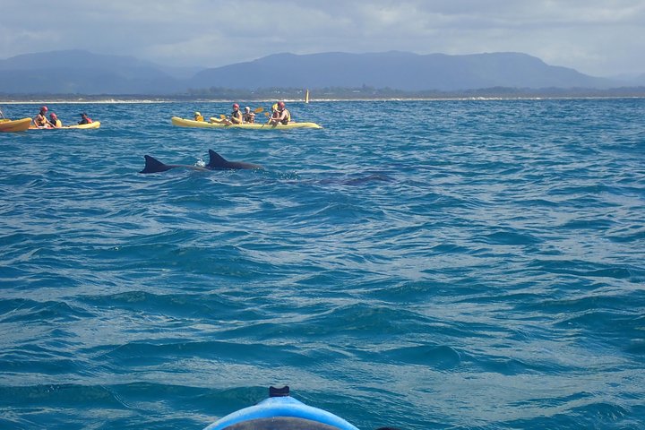 Hoteller i nærheden af Byron Bay Sea Kayak Tour