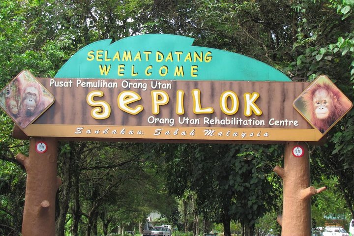 Dagstur Sepilok Orang Utan & Bornean Sun Bear (flyg exkluderat)