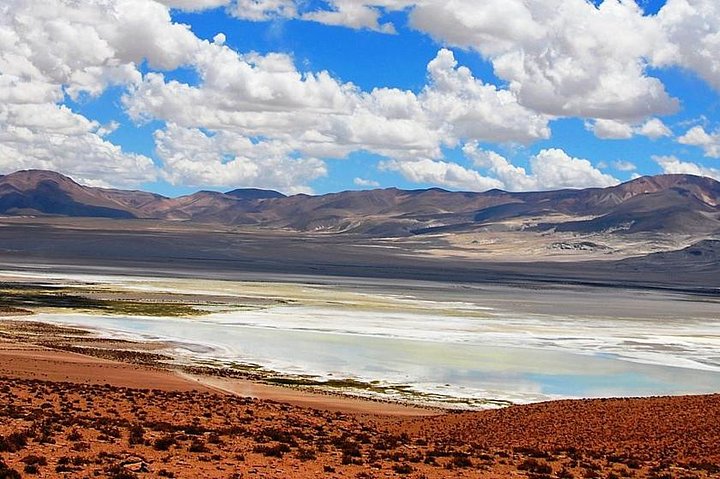 Iquique, Parque Nacional Salar del Huasco - Dia completo