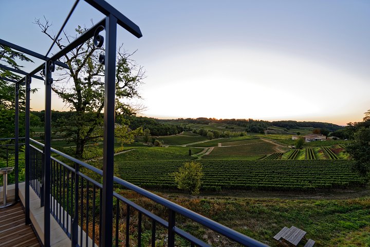 Saint-Emilion Grand Cru Classé: Pique-nique & Visite en anglais