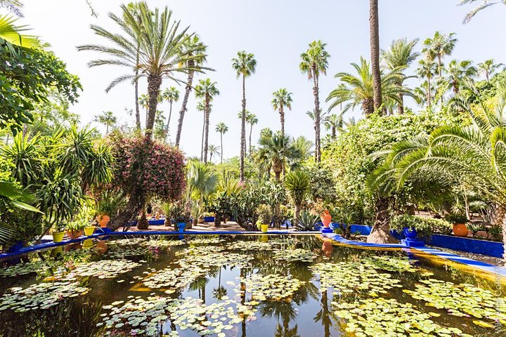 Excursão de um dia em Marrakech a partir de Agadir: Medina & Souks Tour