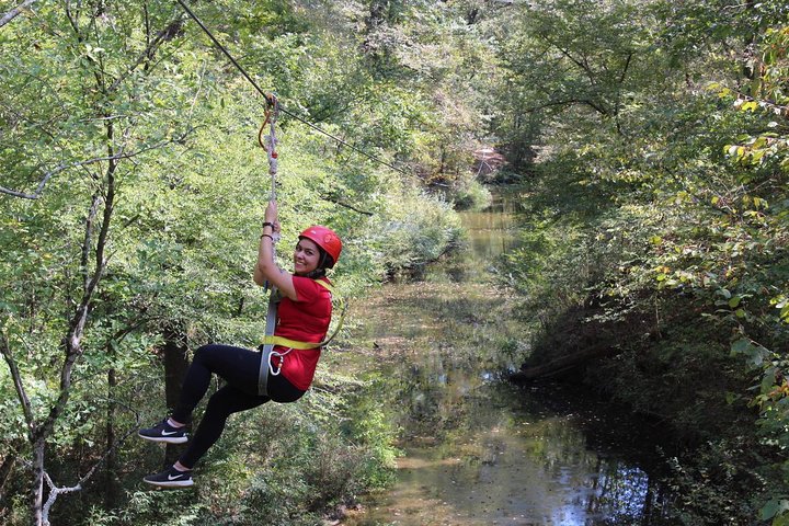 Small Group Zipline Tour in Hot Springs