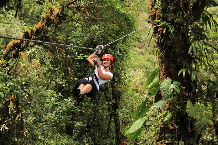 Tour mit Seilrutsche durch den Regenwald und über Hängebrücken ab Monteverde