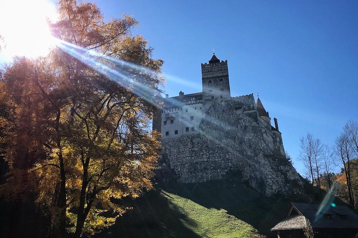 Um dia de viagem Bear Sanctuary, Castelo Dracula, Rasnov Fortress from Brasov