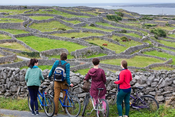 Sykle Inishmore Island. Aranøyene. Selvstyrt. Full dag.