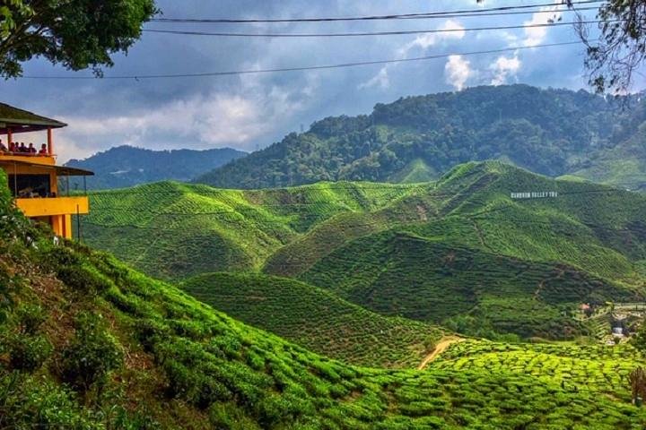 Cameron Highland beste dagstur fra Ipoh med lunsj (dagstur)