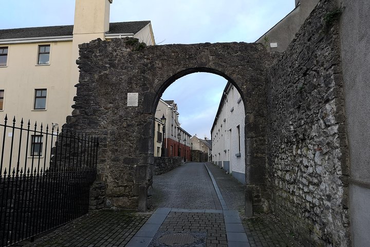 Tour a pie por Kilkenny con un guía local nacido en Kilkenny