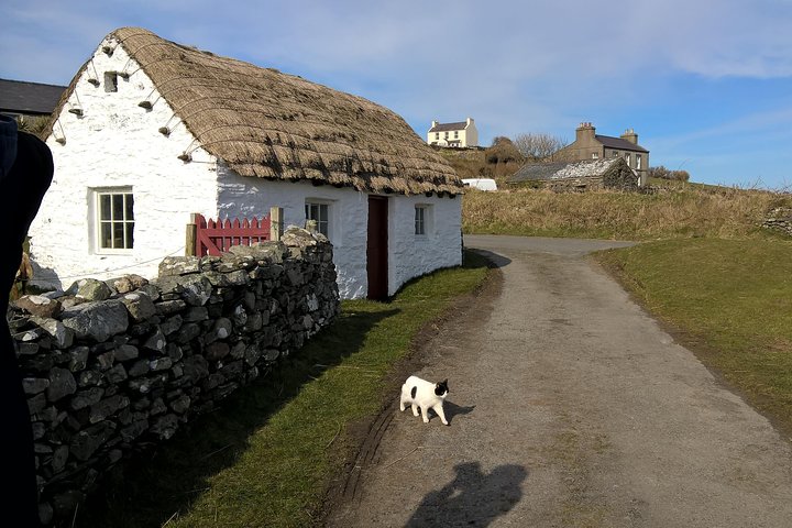Damptog og slotte med kvalificeret Isle of Man Tour Guide