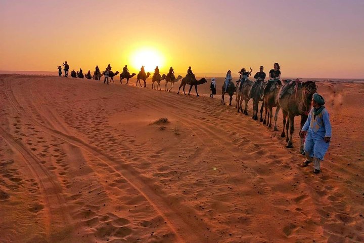 1 noche todo incluido paseo en camello y campamento en el desierto