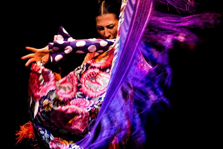 Séville : Puro Flamenco Show - Museo del Baile Flamenco