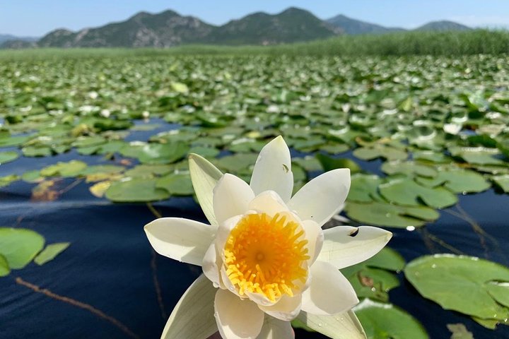 2 ore guidate - Tour Natura di Gruppo (degustazione vino locale in tour)