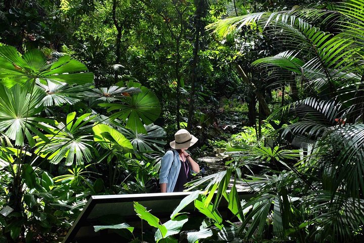 Penang Round Island Tour med Tropical Spice Garden & Entopia Butterfly Farm