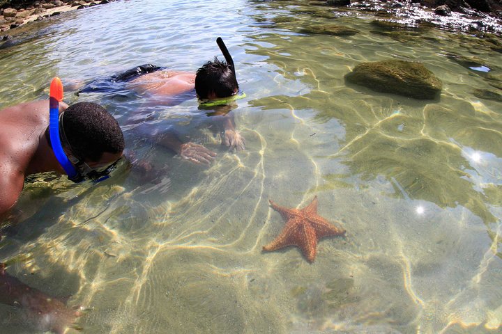 Excursión de día completo en lancha motora por la costa norte de Ilha Grande