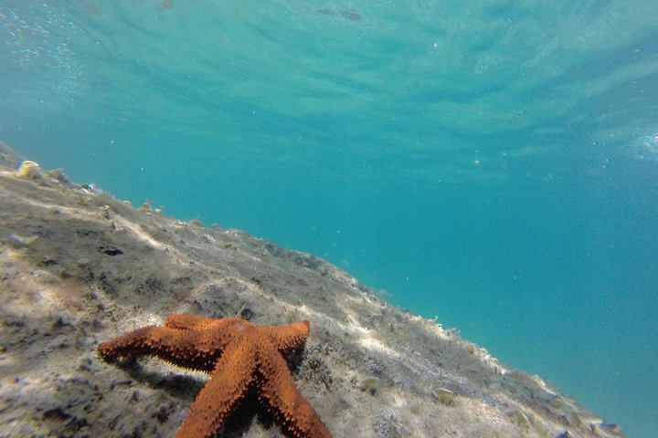 Excursión de día completo en lancha motora por la costa norte de Ilha Grande