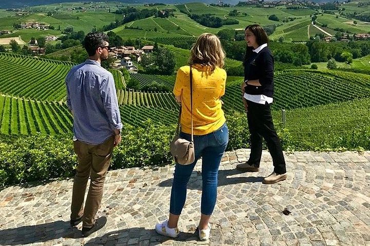 Proef Barolo en Barbaresco met een Sommelier. Wijntour door Piemonte