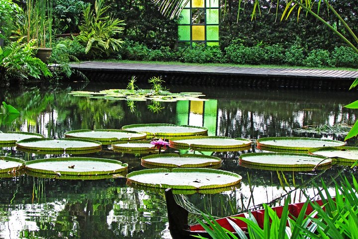 Penang Round Island Tour med Tropical Spice Garden & Entopia Butterfly Farm