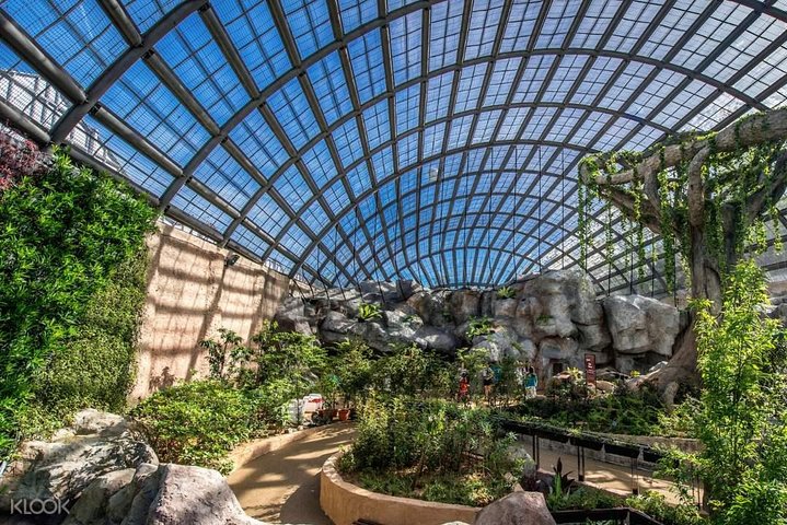 Penang Round Island Tour med Tropical Spice Garden & Entopia Butterfly Farm