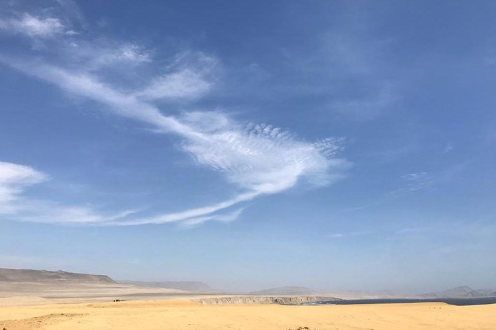 Privétour naar Paracas National Reserve vanuit Paracas of Pisco