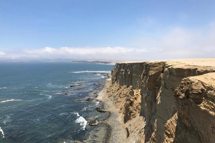 Privétour naar Paracas National Reserve vanuit Paracas of Pisco
