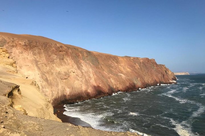 Privétour naar Paracas National Reserve vanuit Paracas of Pisco