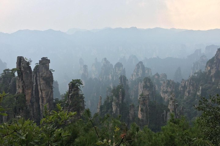 Tour privato di 1 giorno al Parco Nazionale della Foresta ZJJ e Avatar Mountain