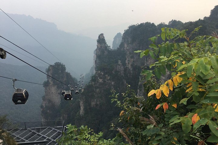 Tour privato di 1 giorno al Parco Nazionale della Foresta ZJJ e Avatar Mountain