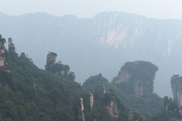 Tour privato di 1 giorno al Parco Nazionale della Foresta ZJJ e Avatar Mountain