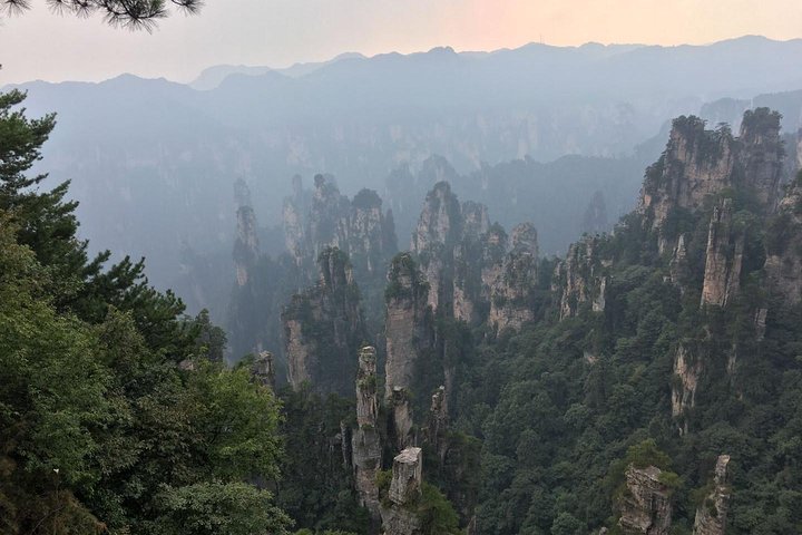 Tour privato di 1 giorno al Parco Nazionale della Foresta ZJJ e Avatar Mountain