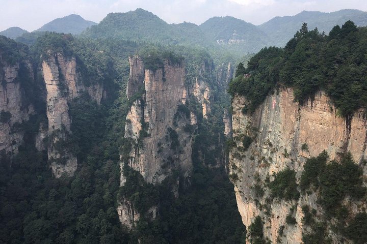 Tour privato di 1 giorno al Parco Nazionale della Foresta ZJJ e Avatar Mountain
