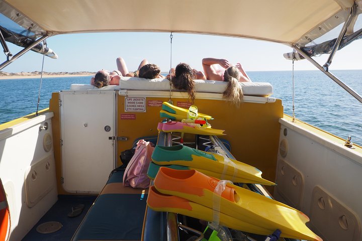 6 horas de buceo de arrecife de Ningaloo y aventura de vida silvestre
